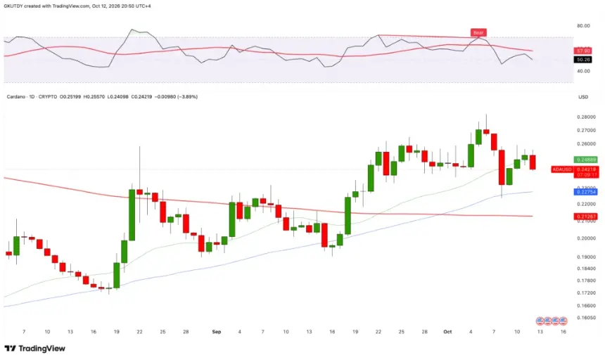 COINBASE:ADAUSD 日线价格图显示 RSI 看跌背离，来源：TradingView