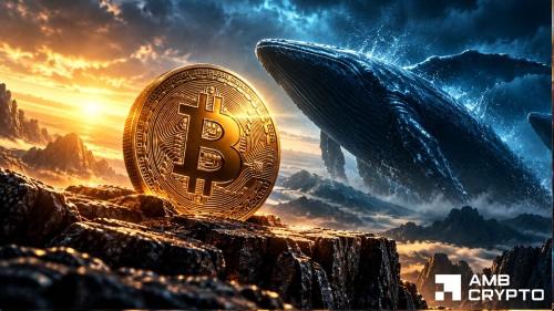 比特币交易所转账降温:3.07亿美元巨鲸异动下,8万美元支撑成焦点