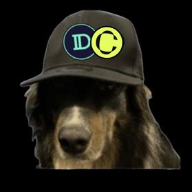 DeFiDog