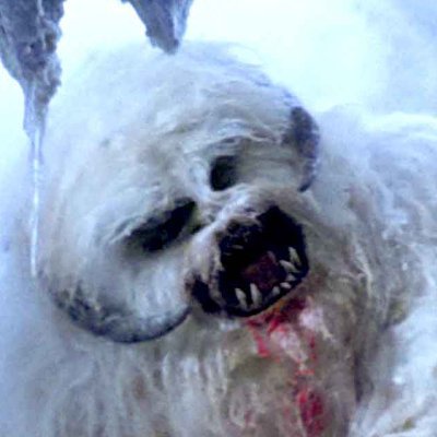wampa