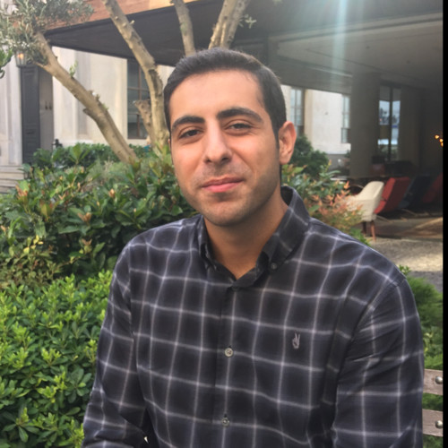 Sinan Gülfidan