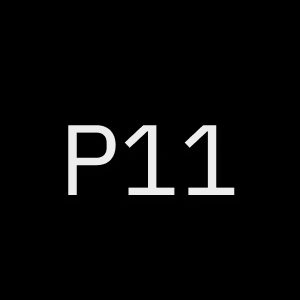 Project Eleven