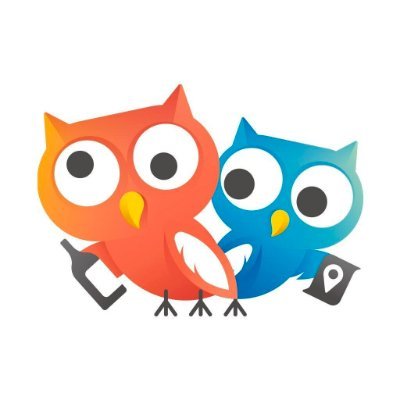 OwlTing