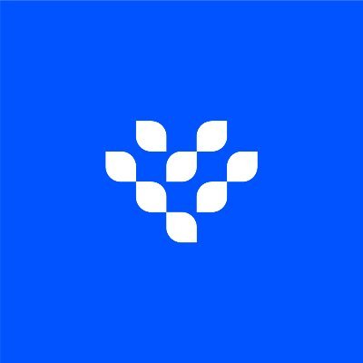 Interest Protocol