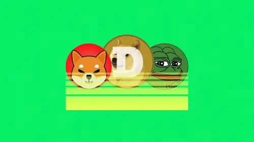 模因币回来了吗？一项具体的钱包指标表明，500 亿美元的反弹是一个危险的陷阱    