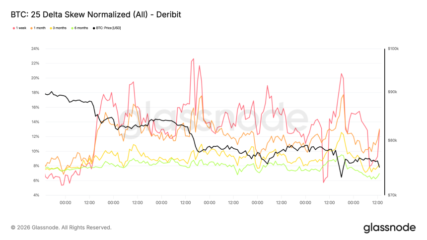 Bears In Control