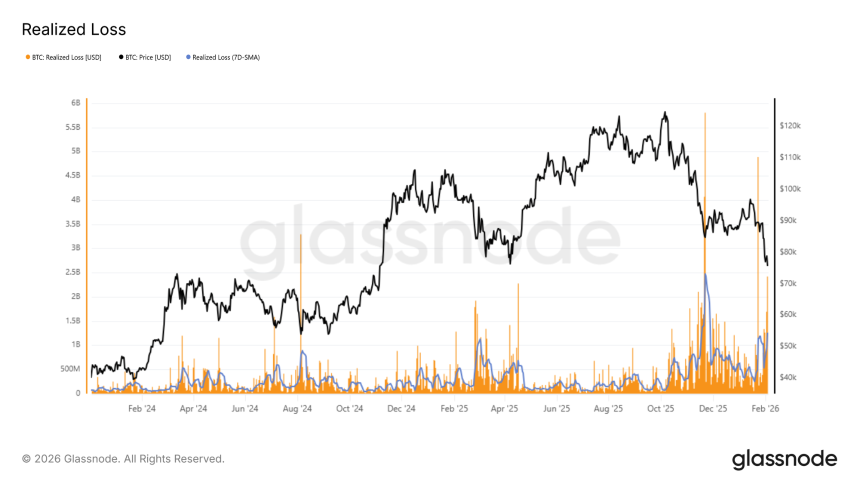 Bears In Control