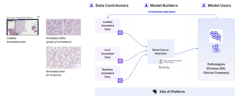 关键技术流程:Kite 生态系统中 AI 任务的生命周期 关键技术流程:Kite 生态系统中 AI 任务的生命周期