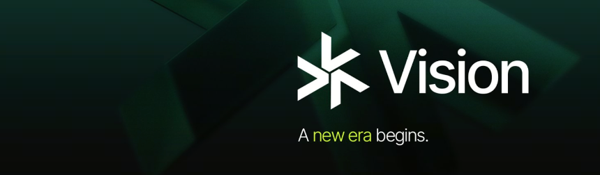 什么是视觉 (VSN)？