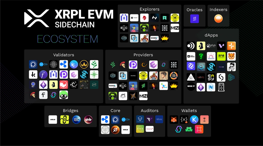 Ripple 生态系统概述