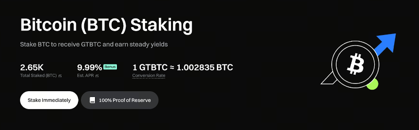 在波动和回调之间：GTBTC 作为长期持有者的稳定选择