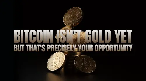 比特币还不是黄金，但这也正是你的机会