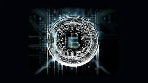 比特币追逐的一种金钱标准