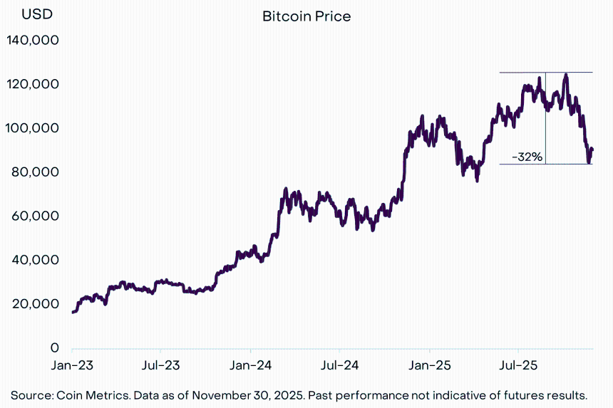 2025 年 11 月:真正的 HODL 需要什么?