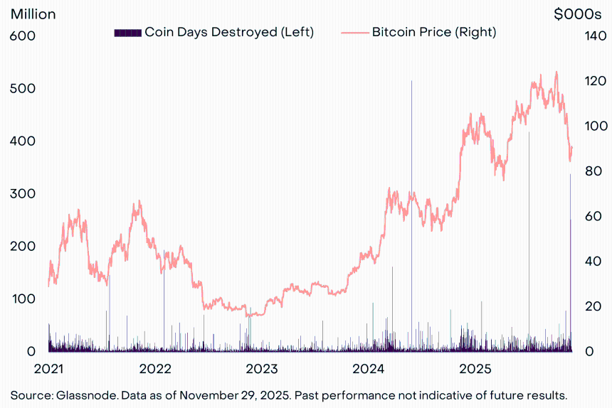 2025 年 11 月:真正的 HODL 需要什么?