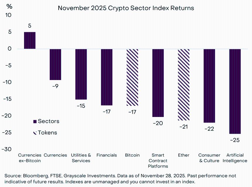 2025 年 11 月:真正的 HODL 需要什么?
