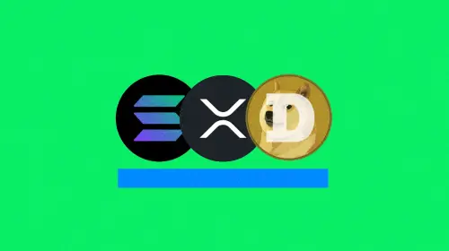 山寨 ETF 爆发,半年走完比特币十年路:加密市场正在发生结构性巨变