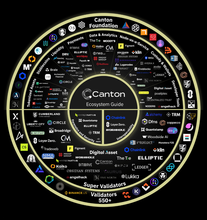 Canton 网络生态系统终极指南
