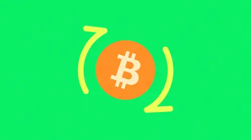 理解比特币不断变化的市场节奏