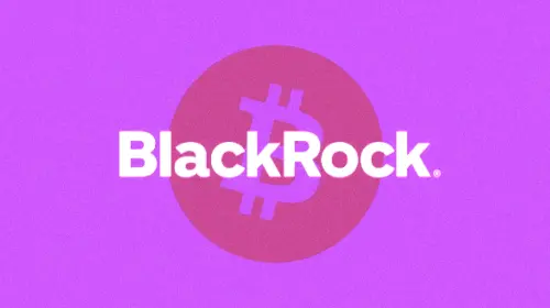 贝莱德已悄然持有全球 3% 的比特币。这对市场意味着什么