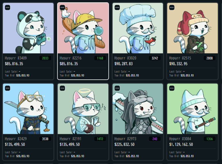 速览 Hypurr:价值 40 万元的 NFT 点击就送?