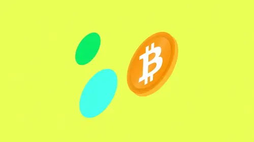 比特币 DeFi 崛起记：基础设施建设与市场爆发