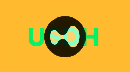Hyperliquid稳定币即将落锤：新团队Native Markets为何拿下USDH？