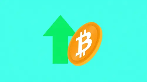 比特币徘徊在 117,000 美元:美联储政策会否引爆新一轮高点?
