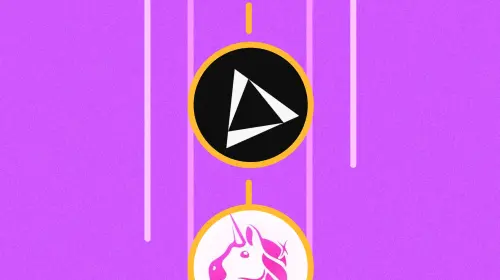 这家没发币的 DEX，收入超过了 Uniswap