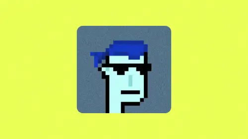 NFT 迎来文艺复兴，Solana 联创猛浇冷水？