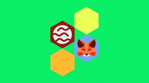 MetaMask 战略集成 Sei 网络，提升跨链 Web3 体验