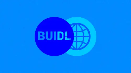 贝莱德 BUIDL 基金深度拆解,如何影响 RWA 格局