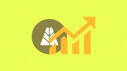 一年内连融两轮,Agora 的增长逻辑资本为何愿意买单?