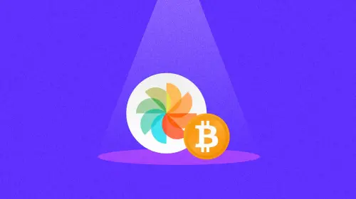 DDC 与比特币,站到舞台中央的两个异乡人