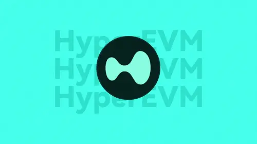 Hyper EVM 生态实战指南：核心协议、HYPE 空投与未来展望