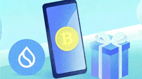 从 Sui 推出的亚秒级 MPC 网络 lka 看待 FHE、TEE、ZKP 与 MPC 的技术博弈