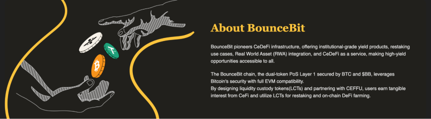 什么是 BounceBit?