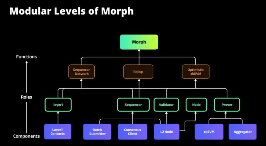 Morph：为什么有机会成为超级入口？