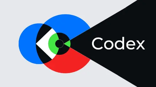 一文读懂专为企业设计的稳定币支付平台 Codex