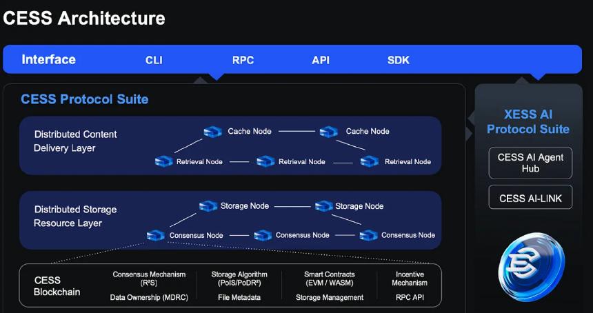 什么是 Cess network?