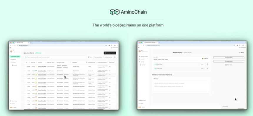什么是 AminoChain?