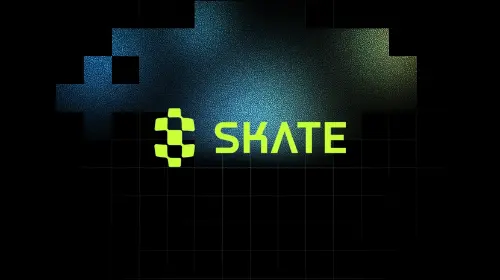 一文读懂 Skatechain