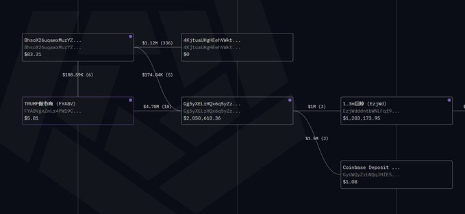 RFC 代币暴涨 2000%:巨鲸布局与马斯克效应引发热潮