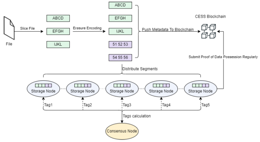 什么是 Cess network?