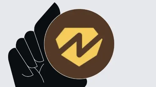 什么是 Numine (NUMI)?