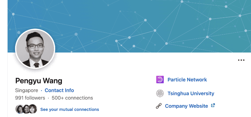 什么是 Particle 网络（PARTI）？