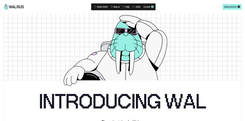 什么是 Walrus (WAL)?