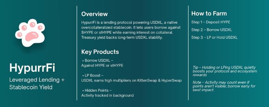 Hyperliquid 二轮空投机会全攻略