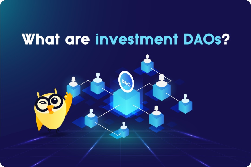 投资型 DAO 全面概述