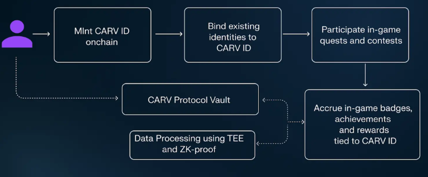 什么是 Carv?